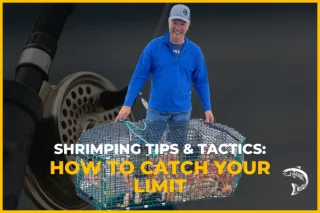 Shrimping Tips & Tactics: How to Catch Your Limit