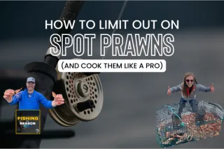 How to Catch Spot Prawns in the PNW