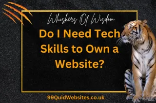 Do I Need Tech Skills to Own a Website?