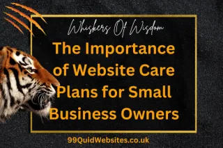 The Importance of Website Care Plans for Small Business Owners