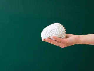 Our nervous system