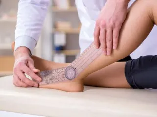 The role of the ankle