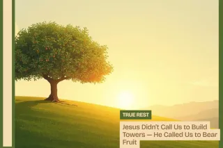Jesus Didn’t Call Us to Build Towers —