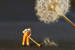 The Ultimate Spring Cleaning Guide - Wilmington, NC