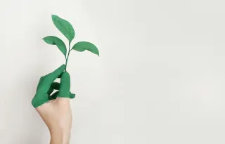 Eco-Friendly Cleaning: How Solution Shine is Making Wilmington Homes Healthier