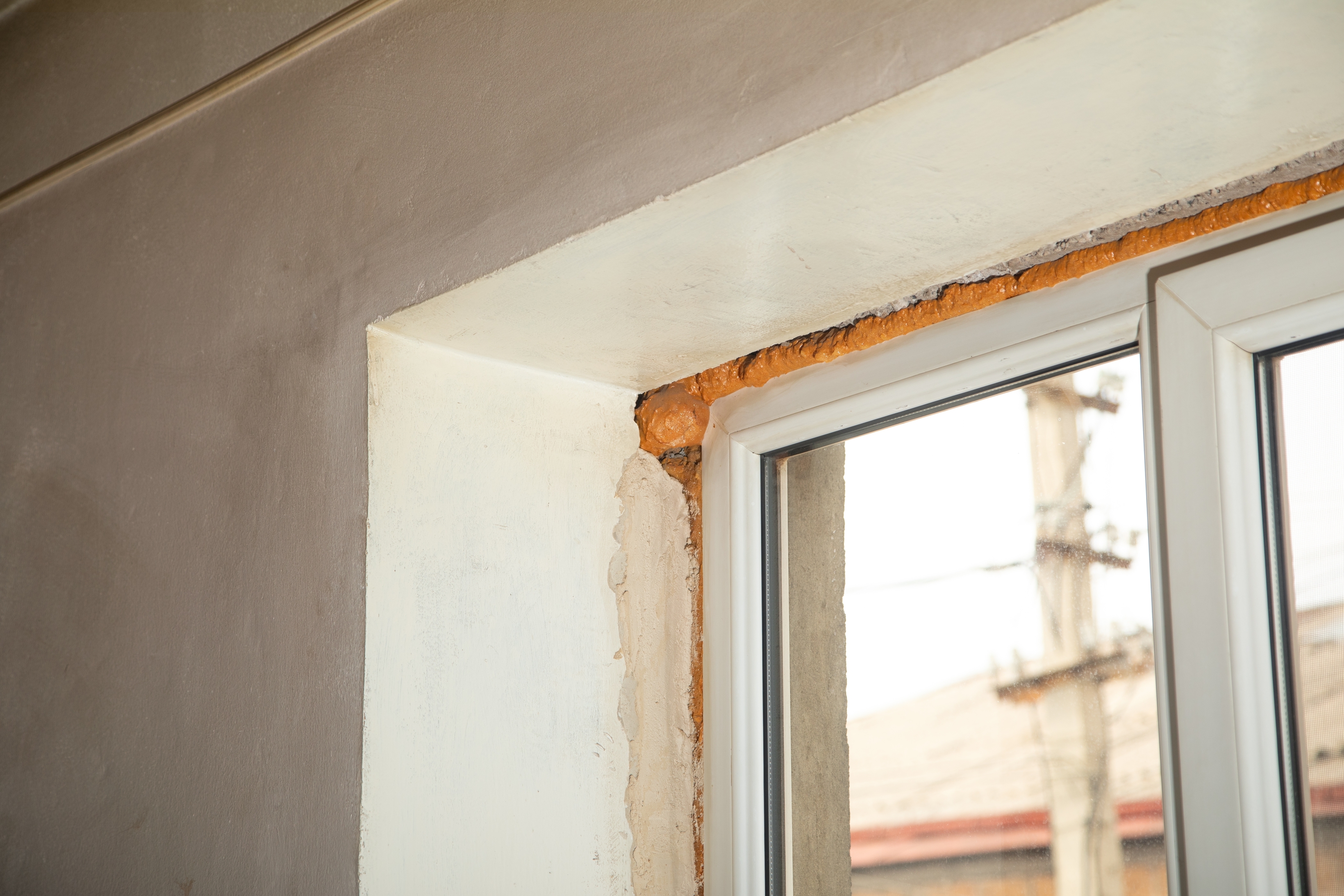 When to Instruct a Building Pathologist Instead of a Surveyor