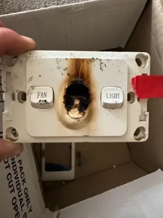 FAQ image