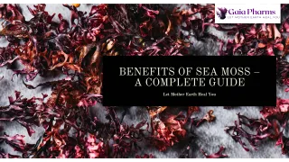 Benefits of Sea Moss: A Complete Guide to Nature’s Superfood