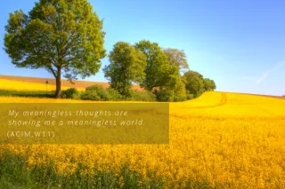 Lesson 11: My Meaningless Thoughts Are Showing Me a Meaningless World