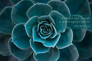 Lesson 14: God Did Not Create a Meaningless World