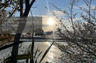 Lesson 19: I am not alone in experiencing the effects of my thoughts