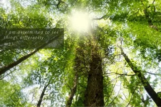 Lesson 21 - I am determined to see things differently.