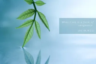Lesson 22 - What I see is a form of vengeance.