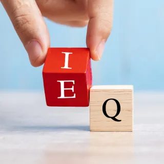 The Importance of Emotional Intelligence in Leadership: Skills Every Leader Needs


