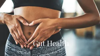 Why Gut Health Is the Foundation of Whole-Body Wellness