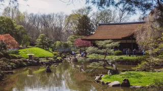 Discover the Tranquility of Shofuso Japanese House and Garden in Philadelphia