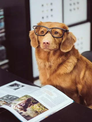 Weird But True: Bizarre Animal Facts You’ve Never Heard Before
