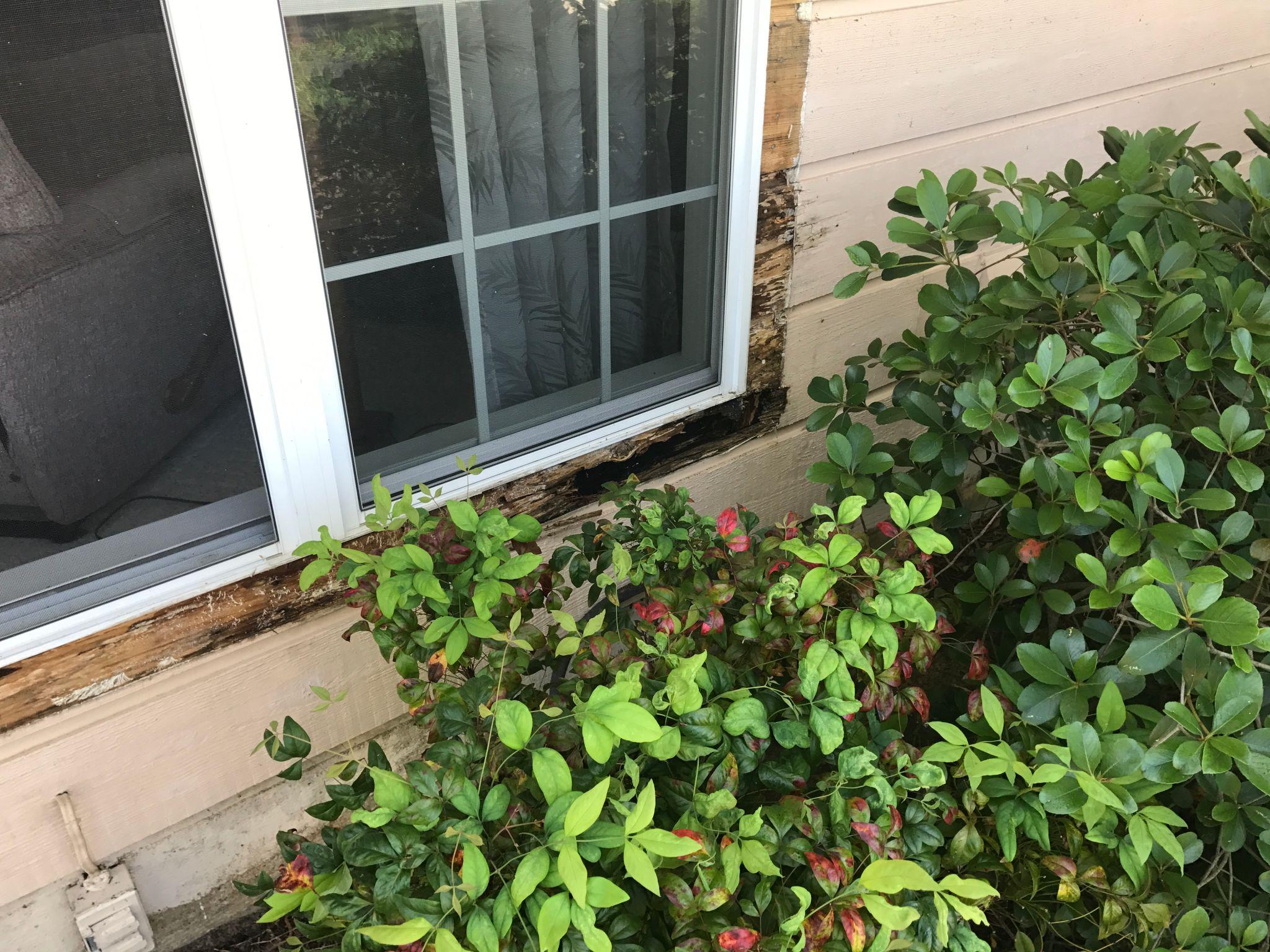 Why Window and Door Trim Failures Let Water Behind Siding in the Quad Cities