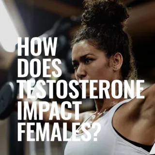 How does Testosterone Impact Females?