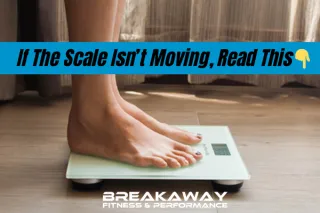 If the Scale Isn’t Moving, Read This 📉➡️💡
