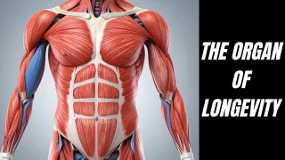 Why Strength Training Is the Real Fountain of Youth (and What Dr. Peter Attia Got Right)