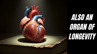 Why Cardio Training Is a Must for Longevity — And Why It Works Best With Strength