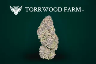 NY-Grown Fire: The Story Behind Torrwood’s Premium Bulk Flower 