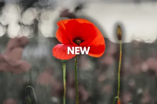 New