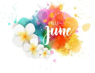 June 2025 Newslettter