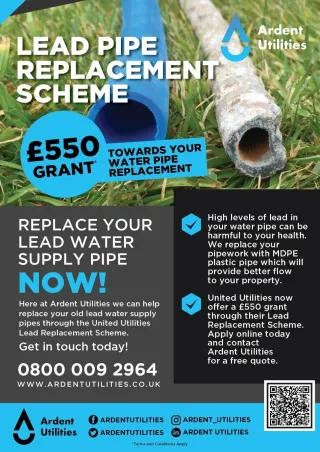 Lead Replacement Grant