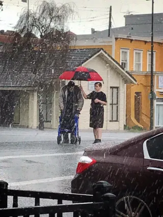 Sheltered in the Storm