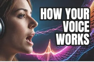 An Introduction To Vocal Science – How Does Your Voice Work?