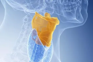 Do We Need A Low Larynx To Sing?