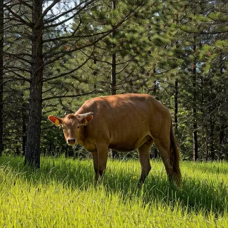 Sell Your Land Fast in Washington: A Cash Offer Simplified