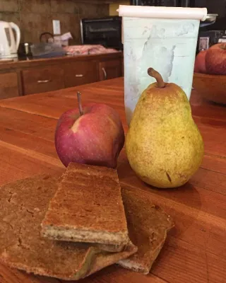 Healthy Homemade Dog Treats