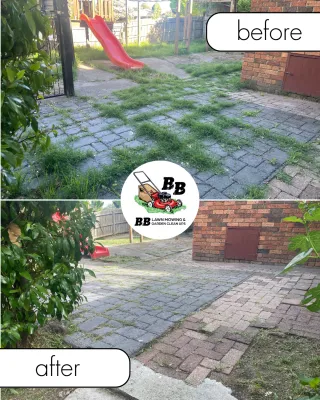 Montmorency Lawn Mowing & Garden Clean-Ups Made Easy