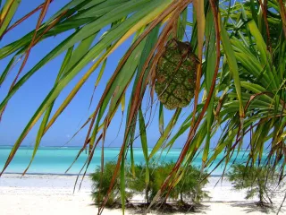 Top 15 mooiste kitesurfspots