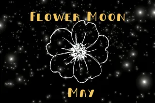 May Flower Moon: Nurture Business Growth & Celebrate Success