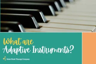 What are Adaptive Instruments?