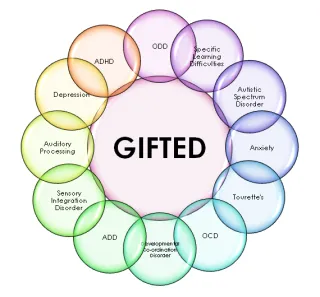 Supporting Twice Exceptional Children: Tips for Parents
