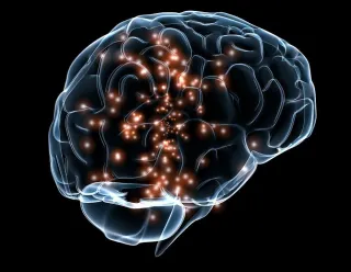 Why Your Brain Gets Stuck in Fight-or-Flight (and How to Help It Reset)