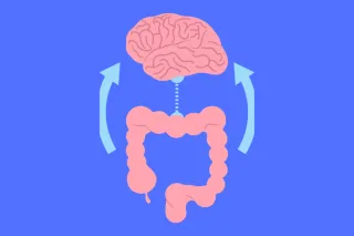 The Gut-Brain Connection: What Every Parent Raising a Neurodivergent Child Should Know

