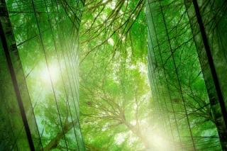 How natural organic reduction (NOR) works and why it’s carbon-neutral