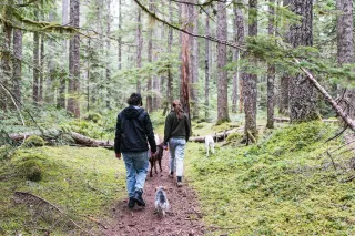 Effortless Stress Relief: Natural Tips for a Calmer You