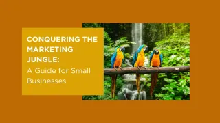 Conquering the Marketing Jungle: A Guide for Small Businesses