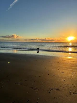 The Fig Tree Shanklin | Boutique Coastal Retreat on the Isle of Wight