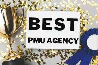 Scale My Salon Crowned the Best PMU Marketing Agency in the UK: A Deep Dive into Their Winning Strategy