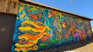 🎨 Strolling Through Downtown Kings Mountain: Murals & Art Walk Adventure