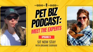 Pet Biz Podcast Ep. 9: Inside Sit Now Stay with Brianne Durham | Meet the Experts