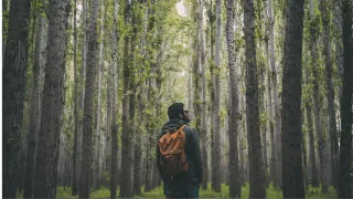 The Power of Discernment: A Critical Skill for Personal Growth and Leadership